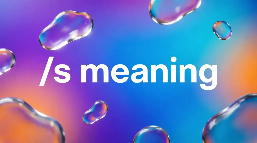 /s Meaning in Simple Words
