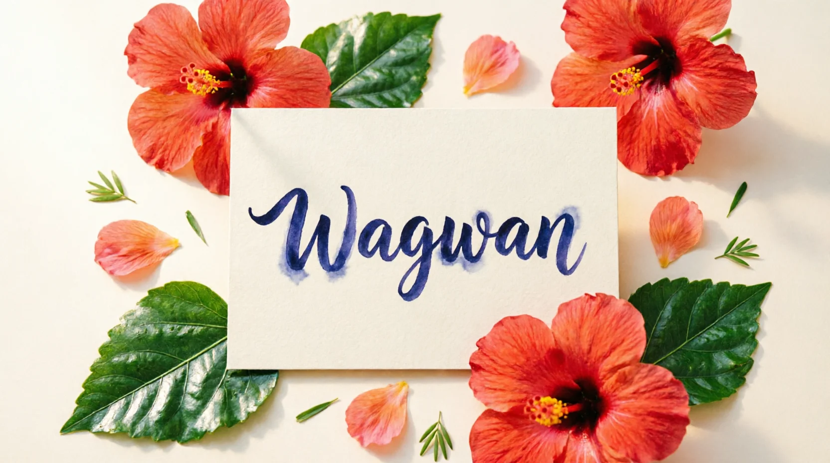 Wagwan Meaning Explained What It Really Means Online 2026